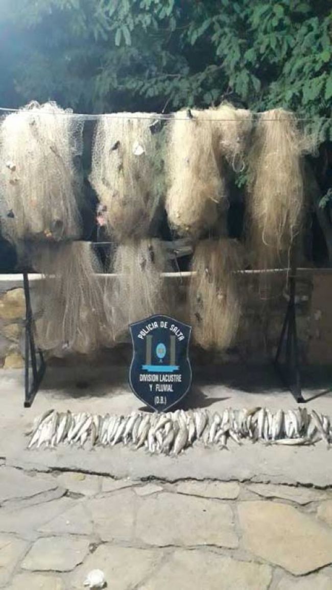 Secuestro de redes y peces