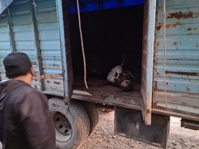 Uno de los operativos