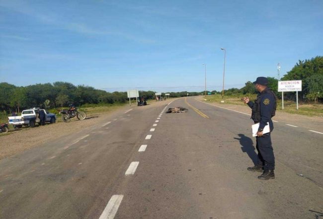 Accidente fatal en ruta nacional 81