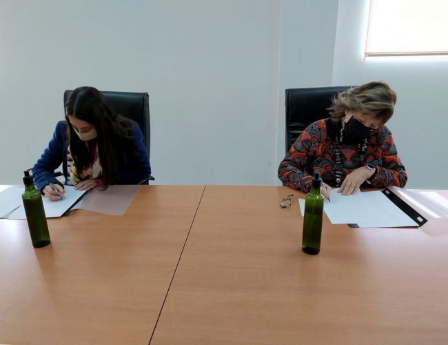 Acciones contra la violencia de género