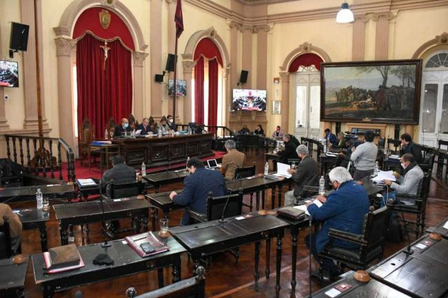 Sesión presencial en el Senado
