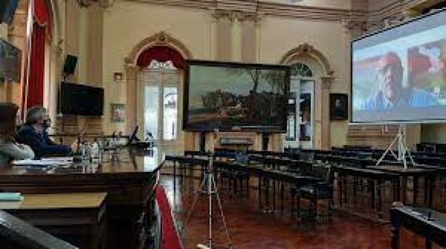 Nueva sesión online de la cámara de Diputados
