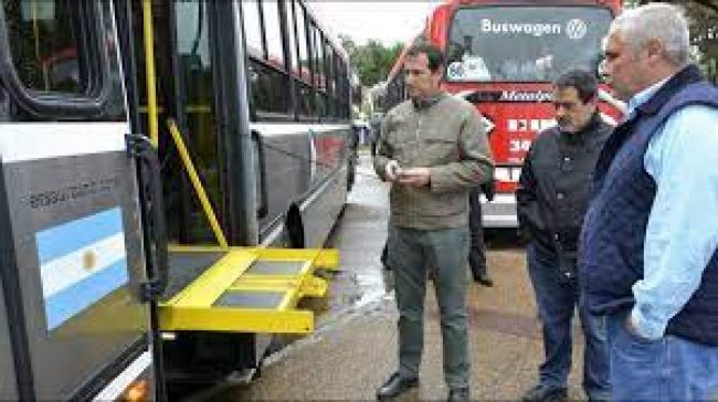 Piden identificar en la APP la frecuencia de colectivos adaptados