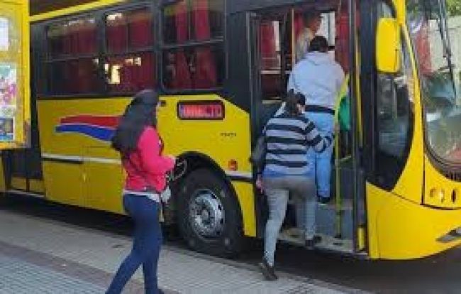 Transporte metropolitano para Anta