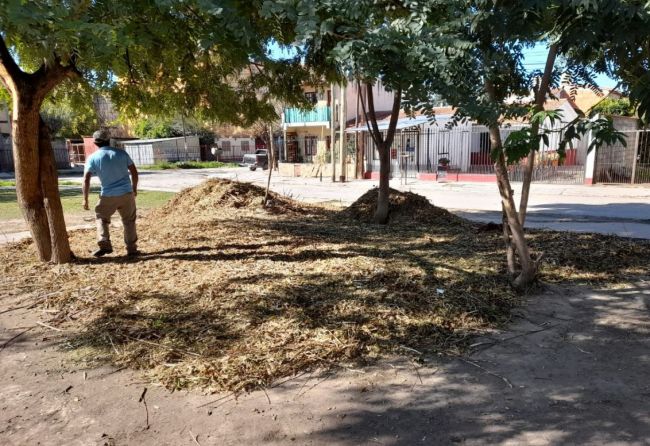 Trabajos en la plaza de Limache