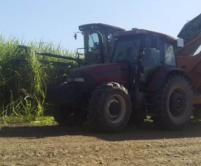 Comienza  la zafra en el departamento Orán