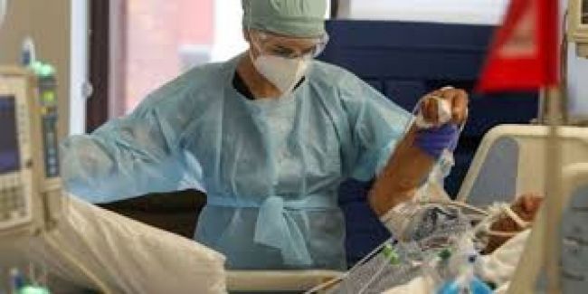 Los decesos suman 1353