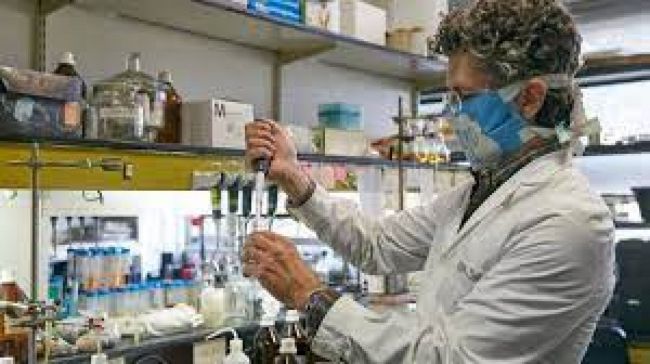 Desarrollan una vacuna Made In Argentina