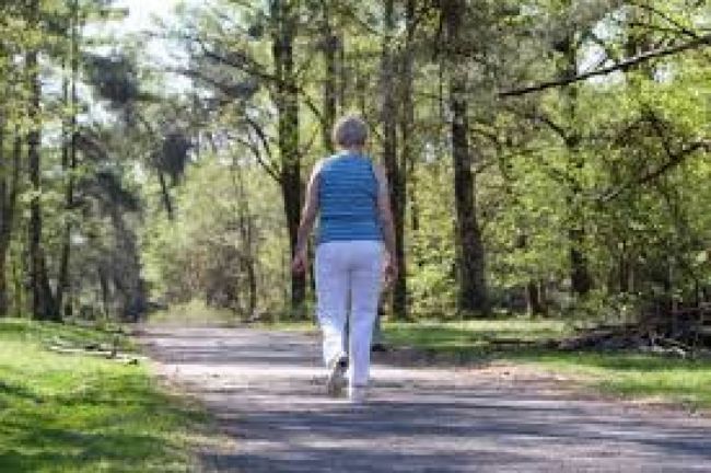 Alternativas de jubilación