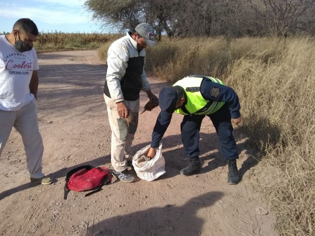 Uno de los procedimientos