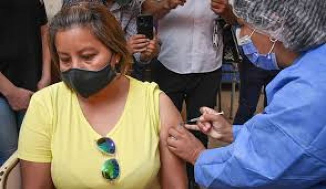 Campaña de vacunación