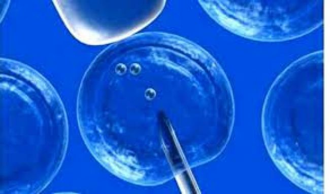 Fertilización asistida