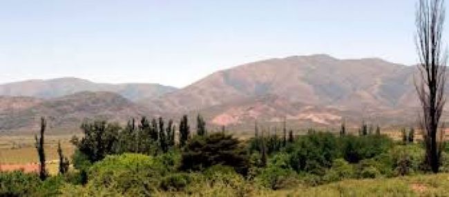 Ocurrió en Cafayate