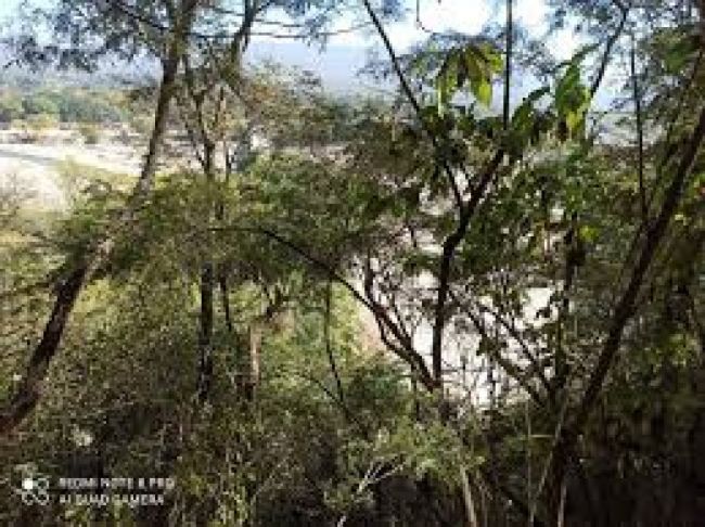 El lugar del hallazgo del cuerpo de Gala