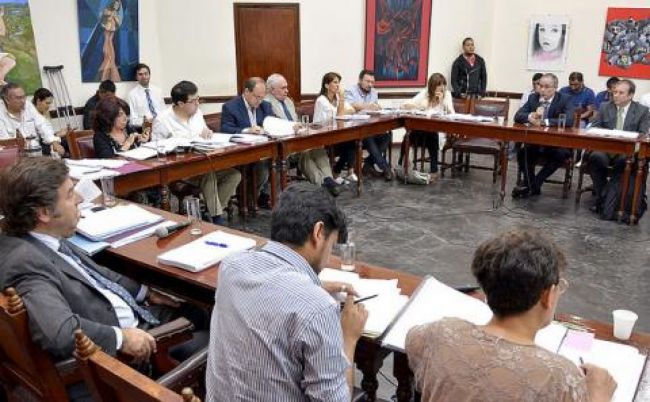 Presentación en el Concejo