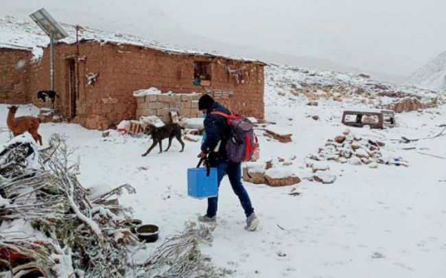 Operativo de vacunación