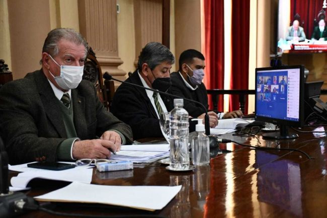 Sesión semipresencial en el Senado