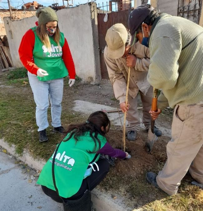 Plantaciones en los barrios