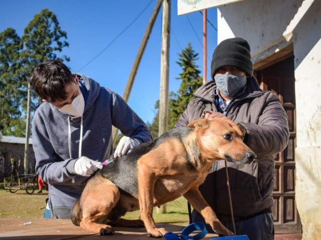 Atención en el paraje Los Naranjos