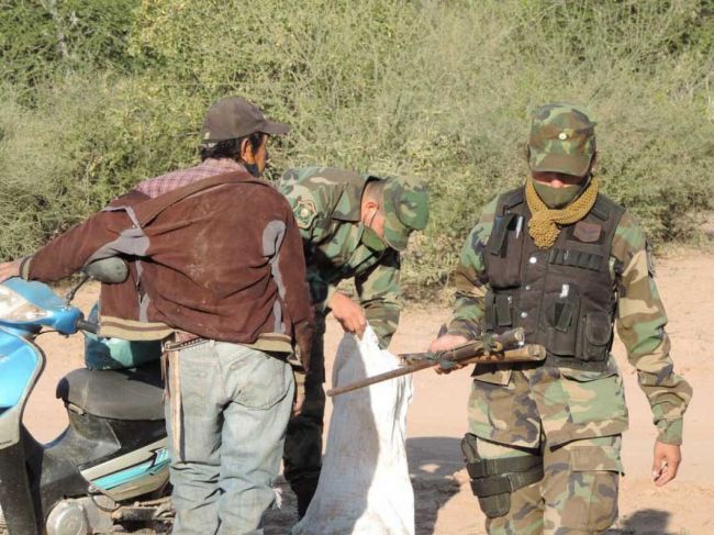 Se incautaron 4 pecaríes sin vida