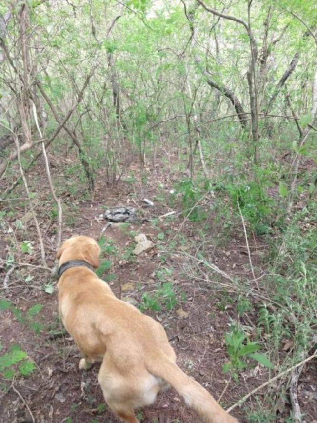 Lugar del hallazgo del cuerpo