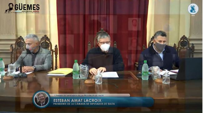 Sesión virtual de Diputados