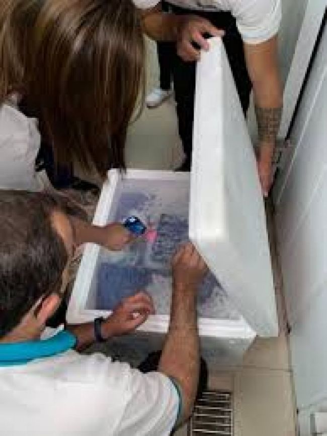 Legaron vacunas Sinopharm y AstraZeneca