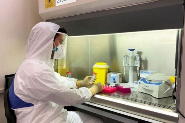 Reporte epidemiológico