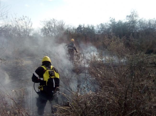 Incendio de pastizales