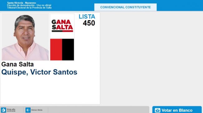 Competirá solo o contra el voto en blanco
