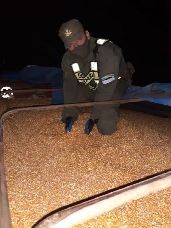 Contrabando de granos