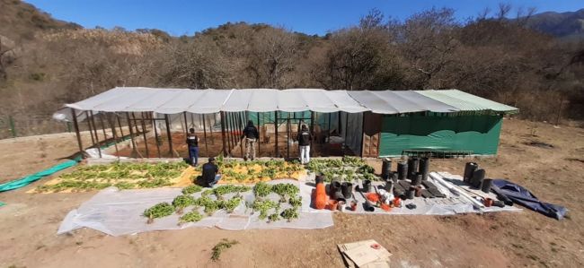 Procedimiento antidroga