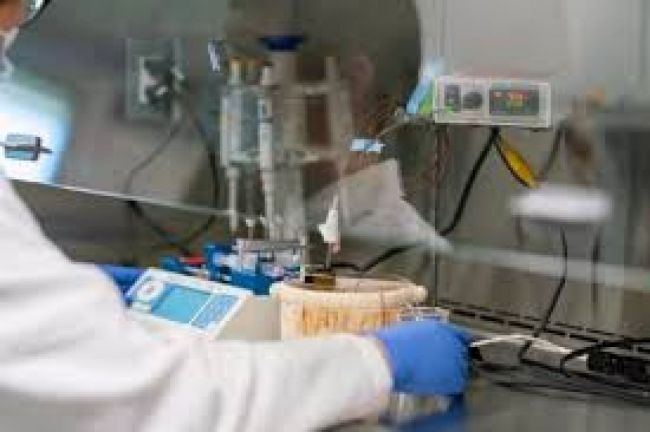 Variante Delta en Salta