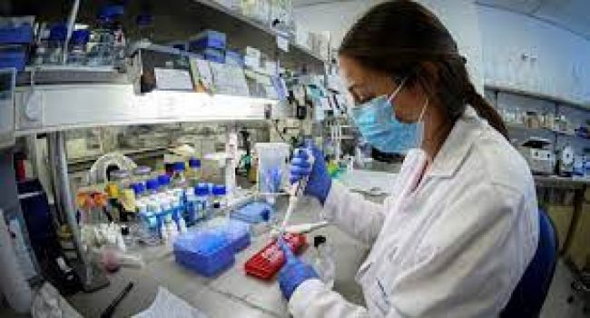 Variante Delta en Salta