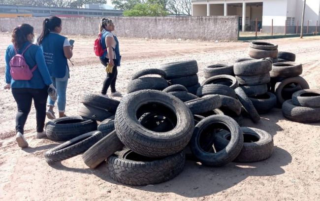 Tras la ola de Covid ahora preocupa el dengue