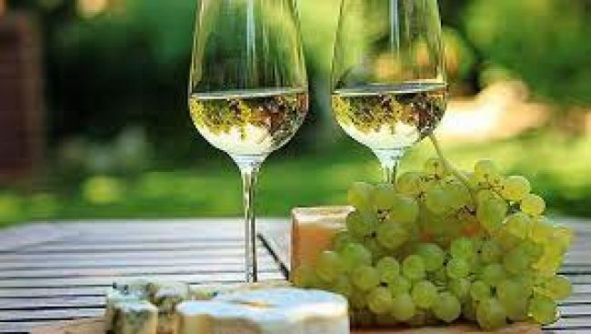 Semana del torrontés en Salta