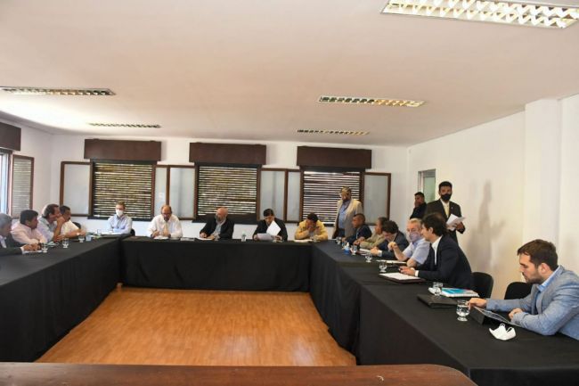 Informe en el Senado