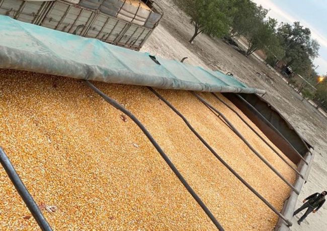 Soja para pequeños productores