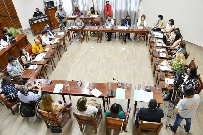 Plenario en el Concejo