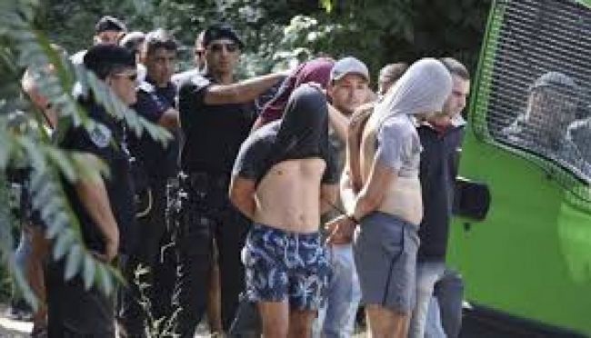 El caso de los rubgiers salteños