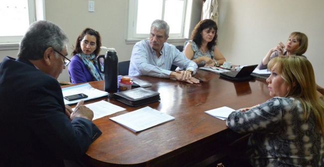 Comisión de educación del Senado