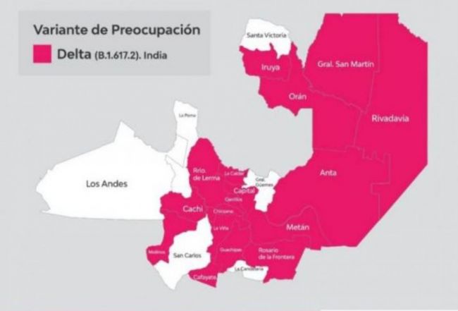 Mapa epidemiológico de la variante Delta en Salta