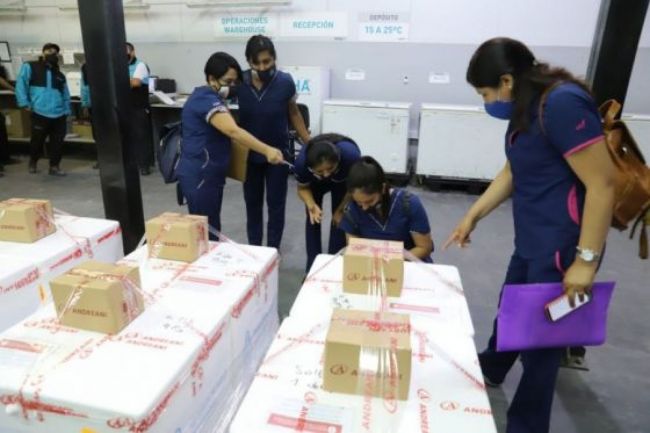 Nueva partida de vacunas