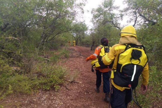 Fin al incendi forestal