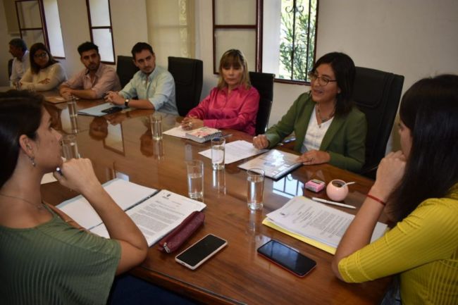 Boleto solidario para víctimas de violencia de género