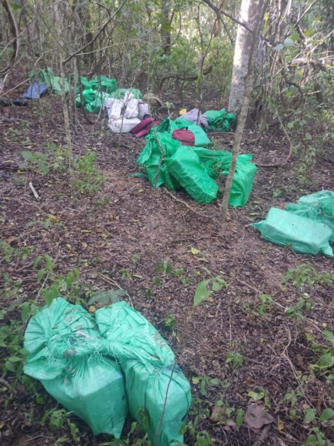 Droga en el norte provincial