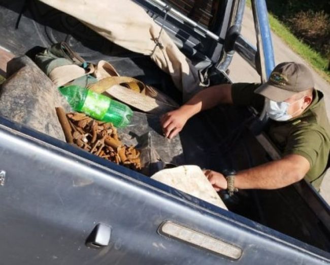 Billetes camuflados en un balde