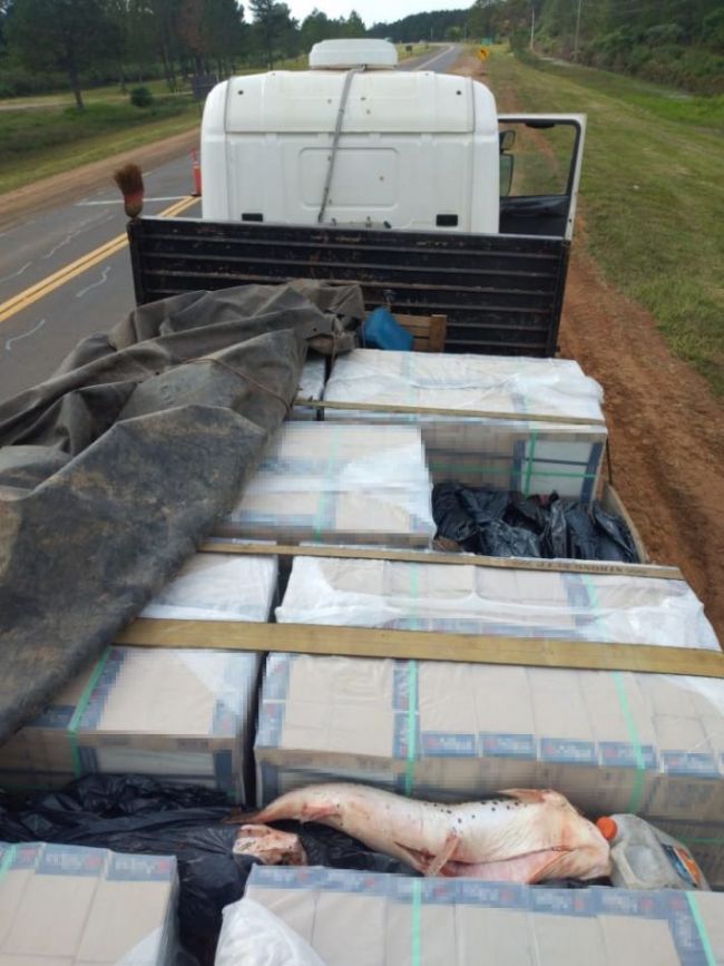 Operativo en Corrientes