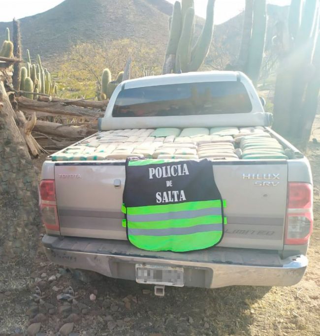 Cargamento de hojs de coca