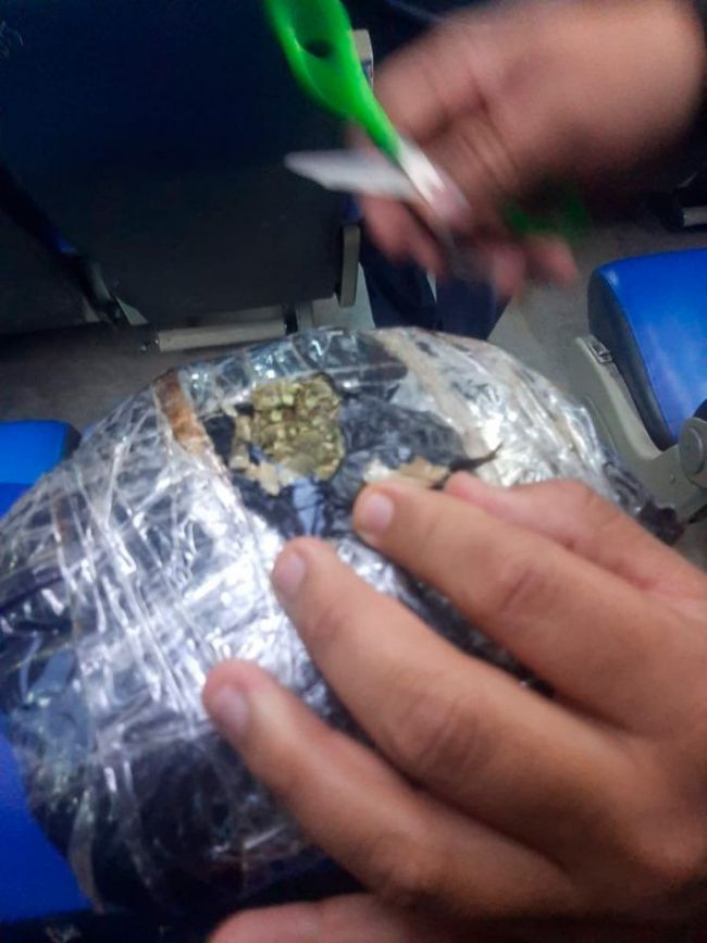 La droga secuestrada